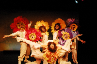 かもだる田バラエチ